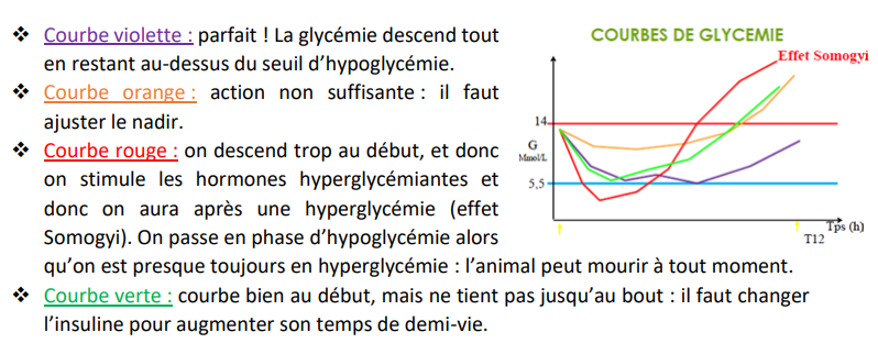 Courbe de glycémie.png