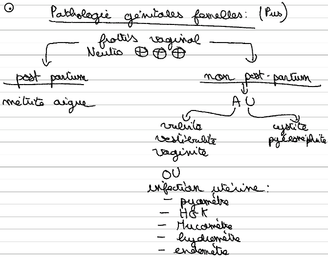 pathologie géntiale femelle.png