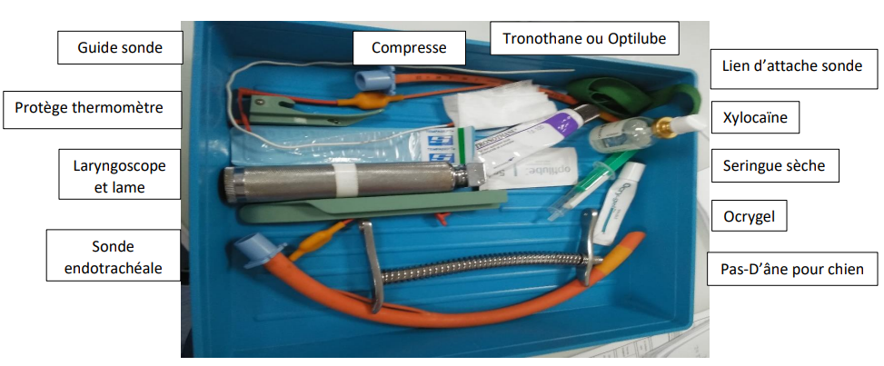 plateau pour anesthésie.png